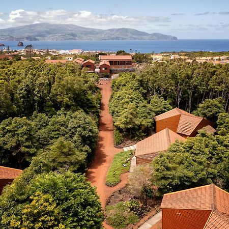 Alma Do Pico - Nature Residence Madalena  Bagian luar foto