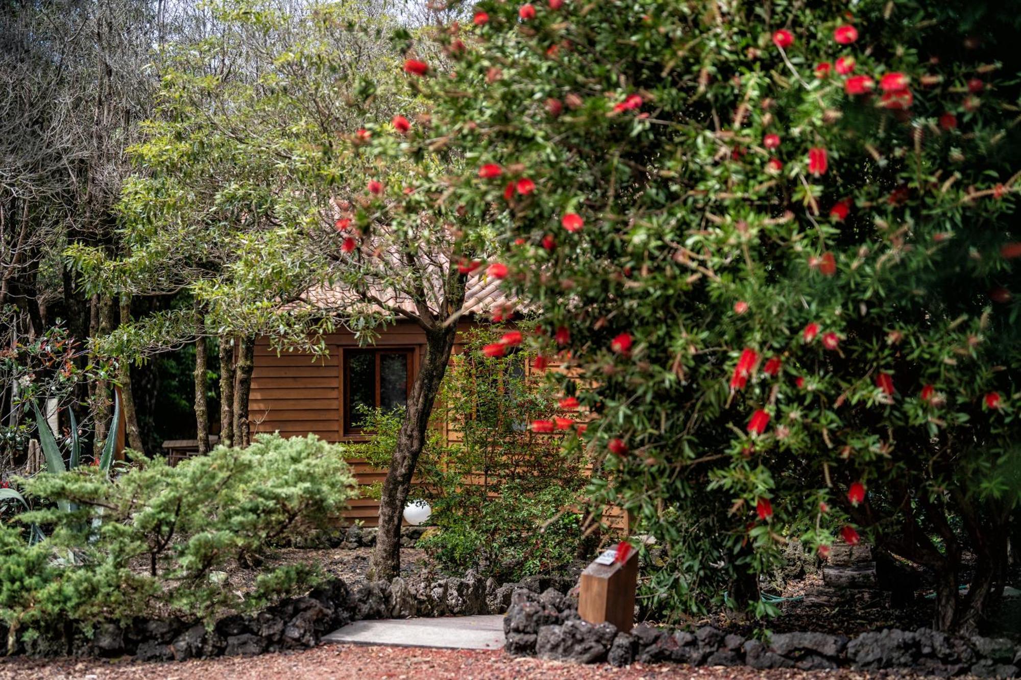 Alma Do Pico - Nature Residence Madalena  Bagian luar foto