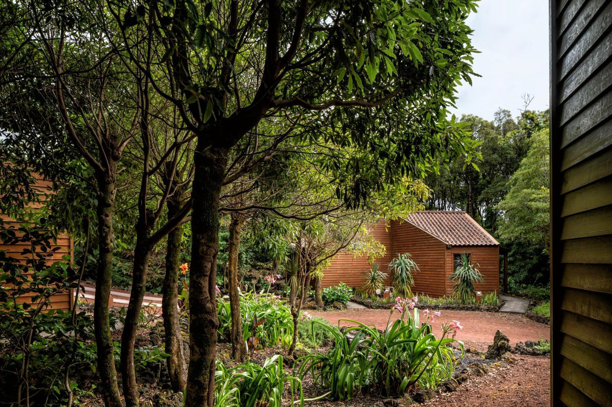 Alma Do Pico - Nature Residence Madalena  Bagian luar foto