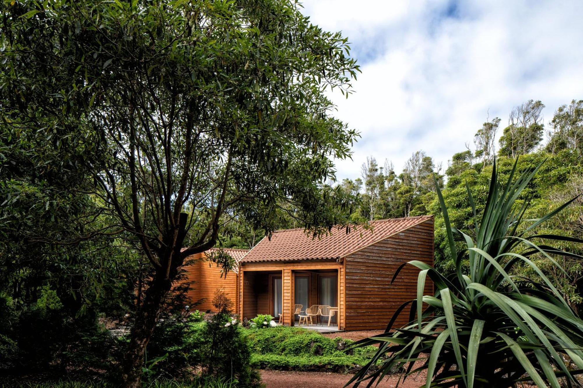 Alma Do Pico - Nature Residence Madalena  Bagian luar foto