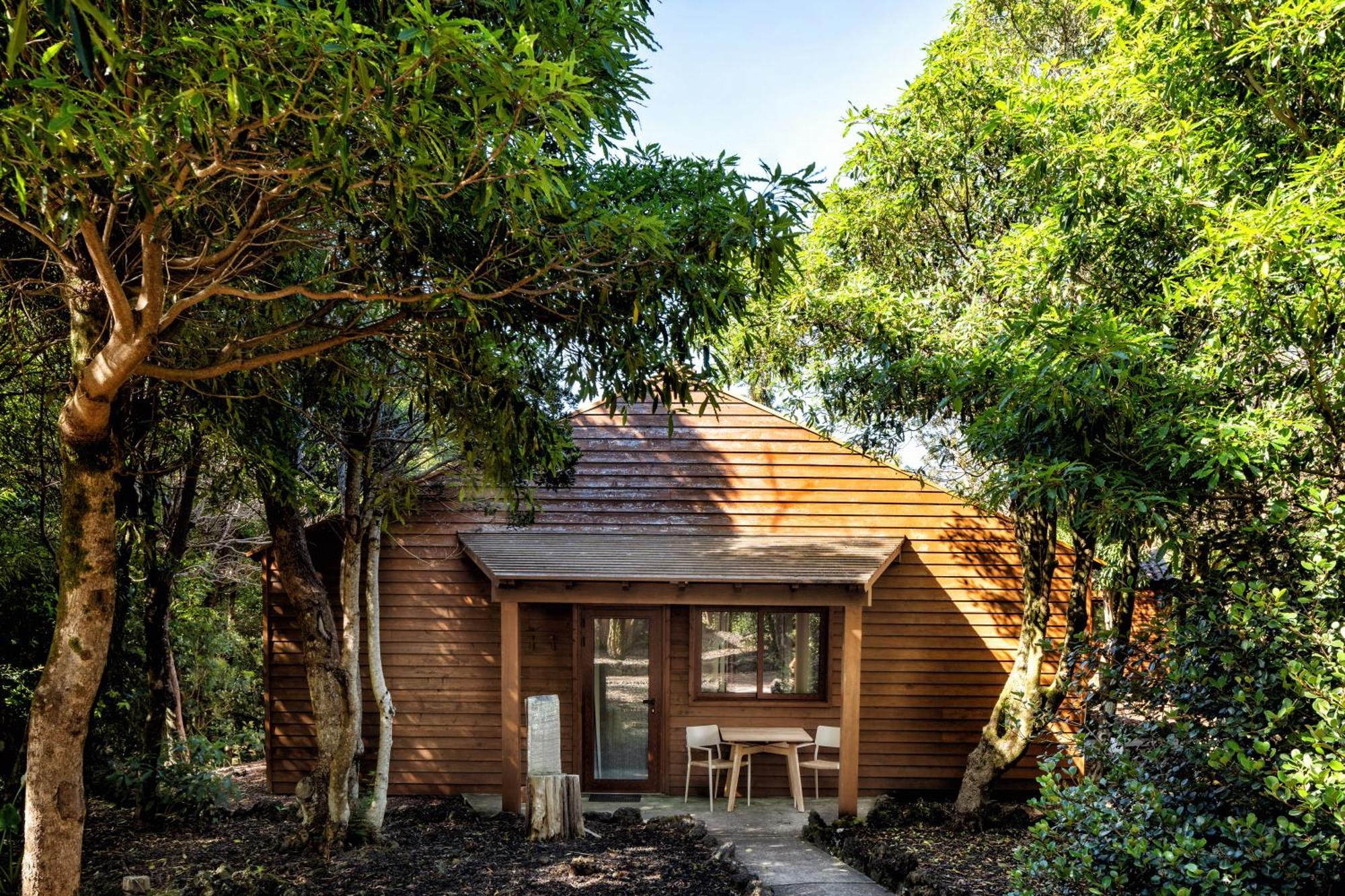 Alma Do Pico - Nature Residence Madalena  Bagian luar foto