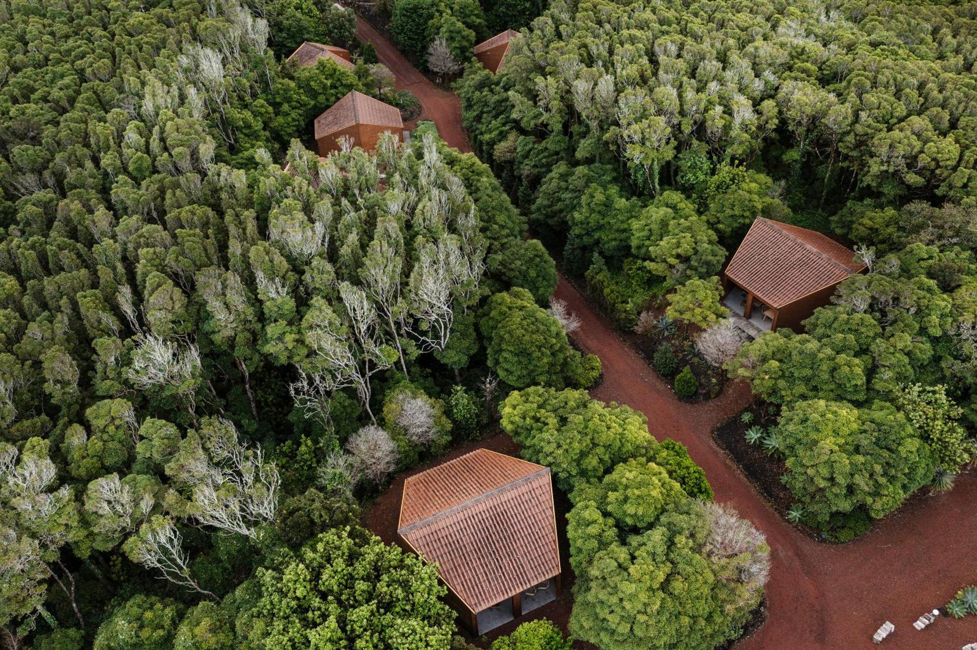 Alma Do Pico - Nature Residence Madalena  Bagian luar foto