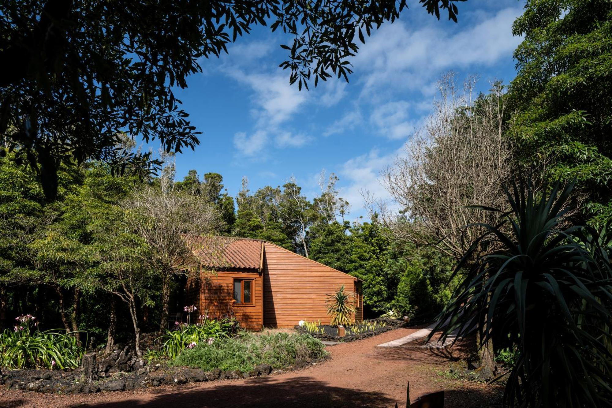 Alma Do Pico - Nature Residence Madalena  Bagian luar foto