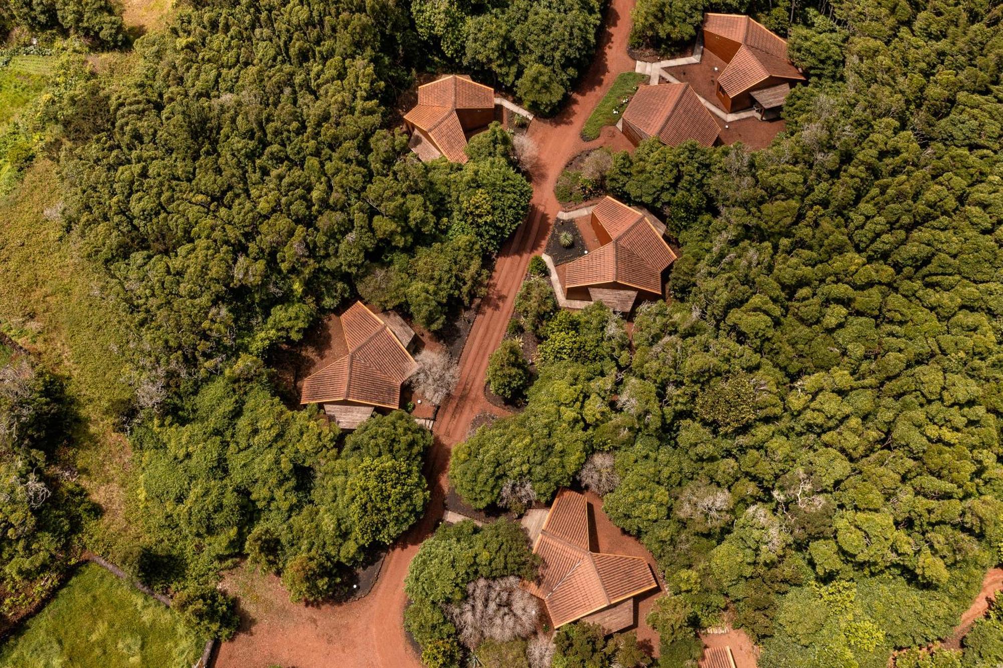 Alma Do Pico - Nature Residence Madalena  Bagian luar foto