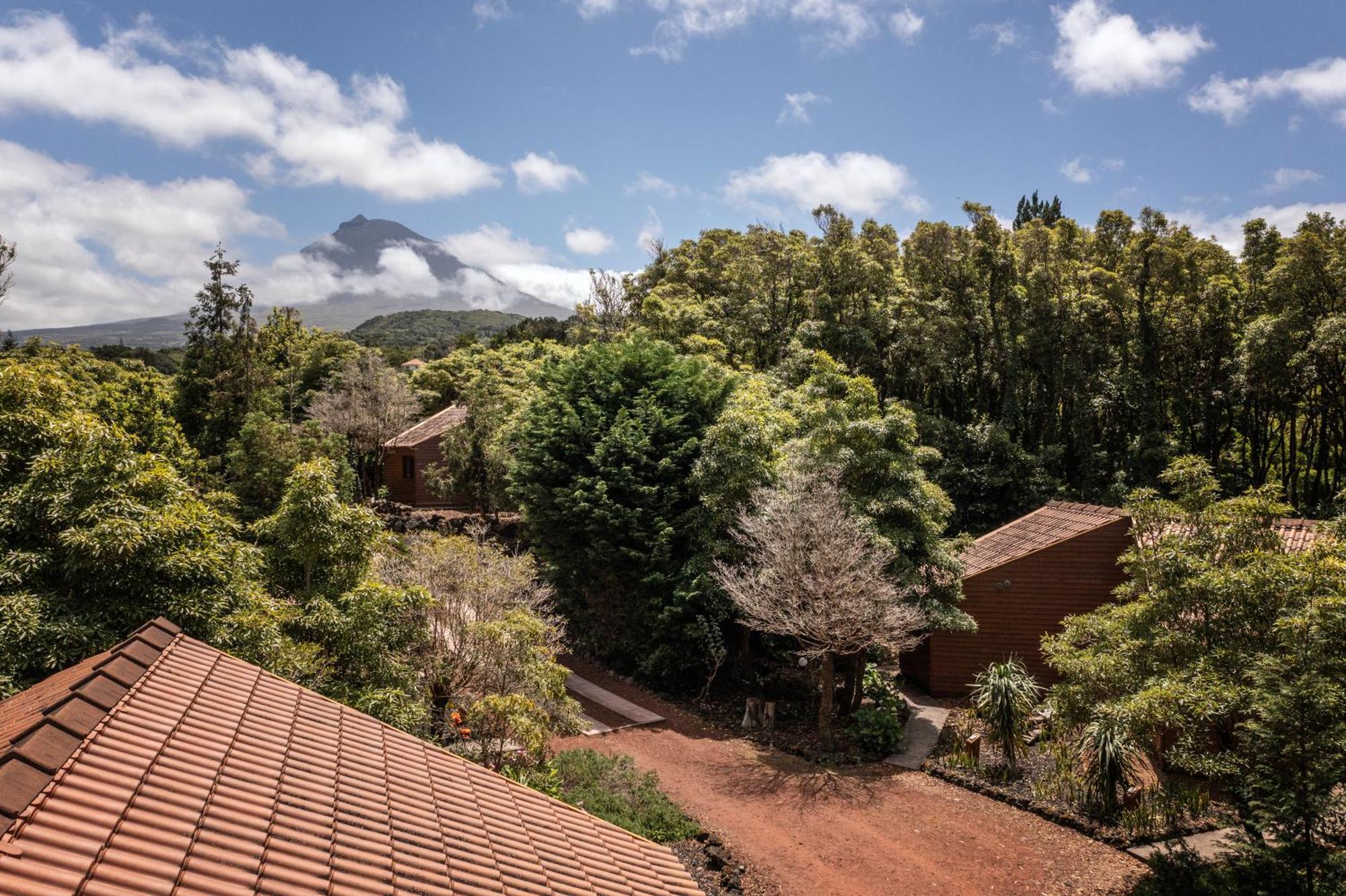 Alma Do Pico - Nature Residence Madalena  Bagian luar foto