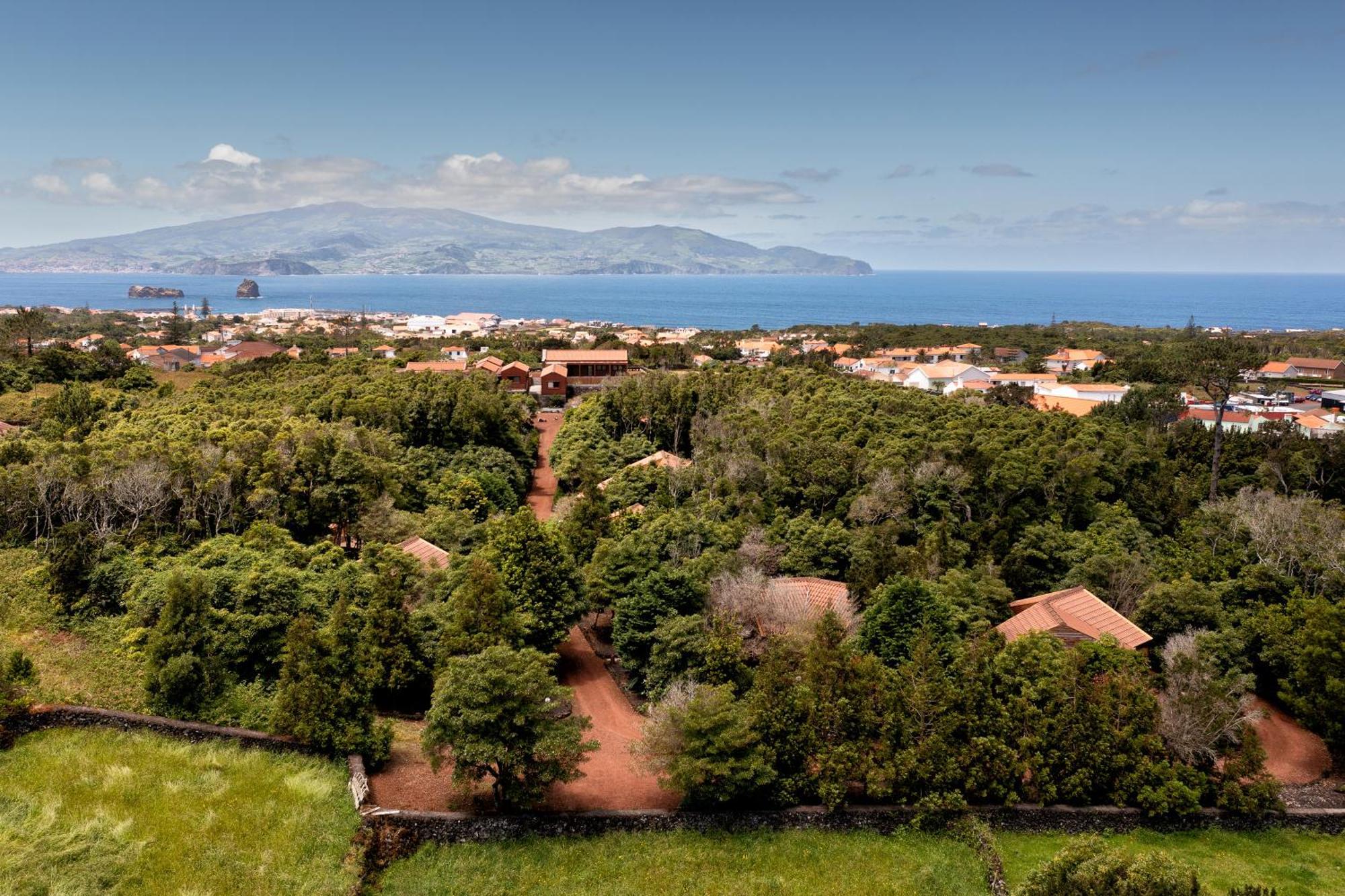 Alma Do Pico - Nature Residence Madalena  Bagian luar foto
