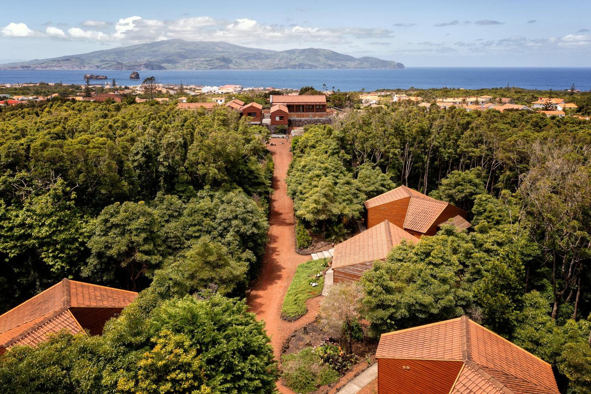 Alma Do Pico - Nature Residence Madalena  Bagian luar foto